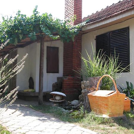 Ferienwohnung Przic House Negotin Exterior foto