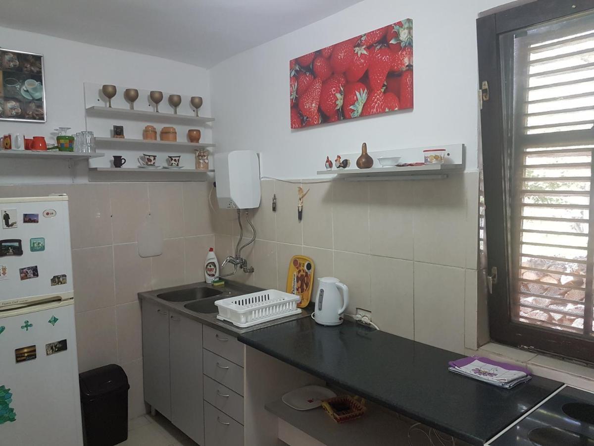 Ferienwohnung Przic House Negotin Exterior foto