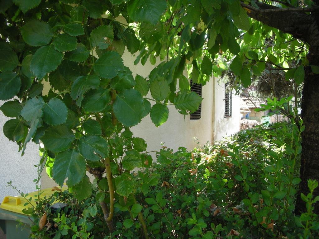 Ferienwohnung Przic House Negotin Exterior foto