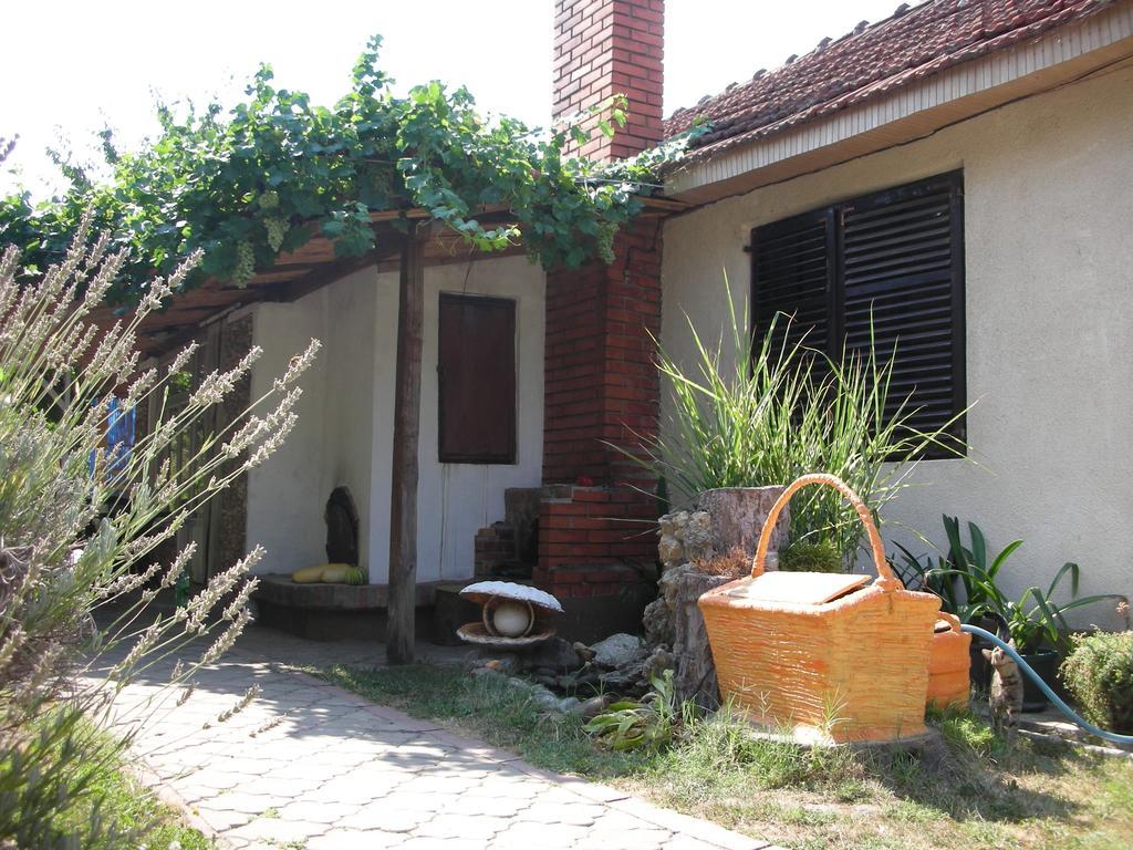 Ferienwohnung Przic House Negotin Exterior foto
