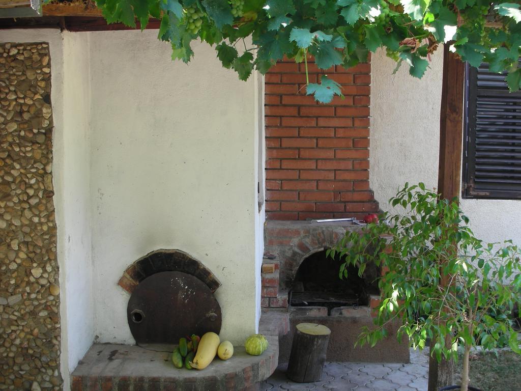 Ferienwohnung Przic House Negotin Exterior foto