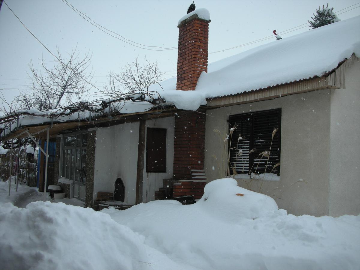 Ferienwohnung Przic House Negotin Exterior foto