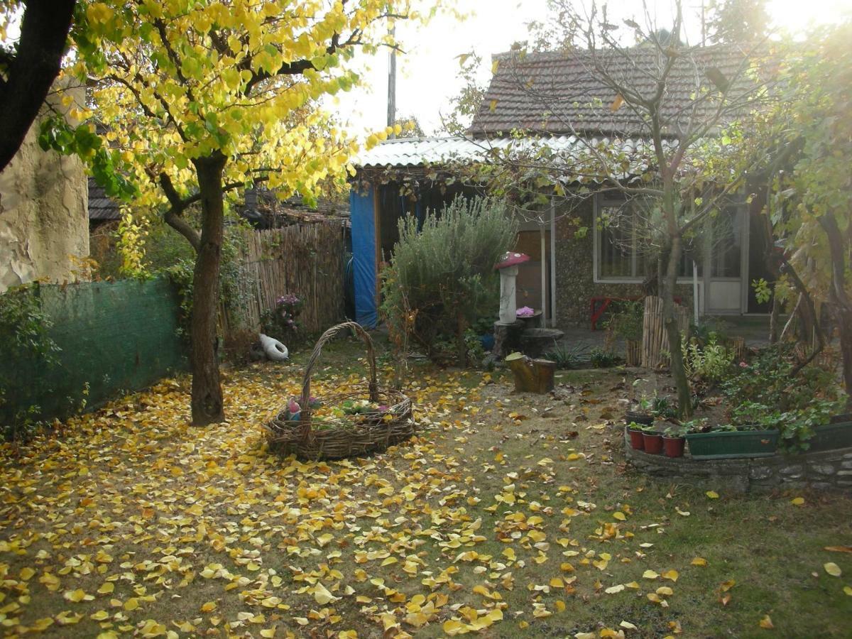 Ferienwohnung Przic House Negotin Exterior foto